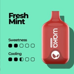 Waka Smash 6000 Puffs Disposable Vape Fresh Mint